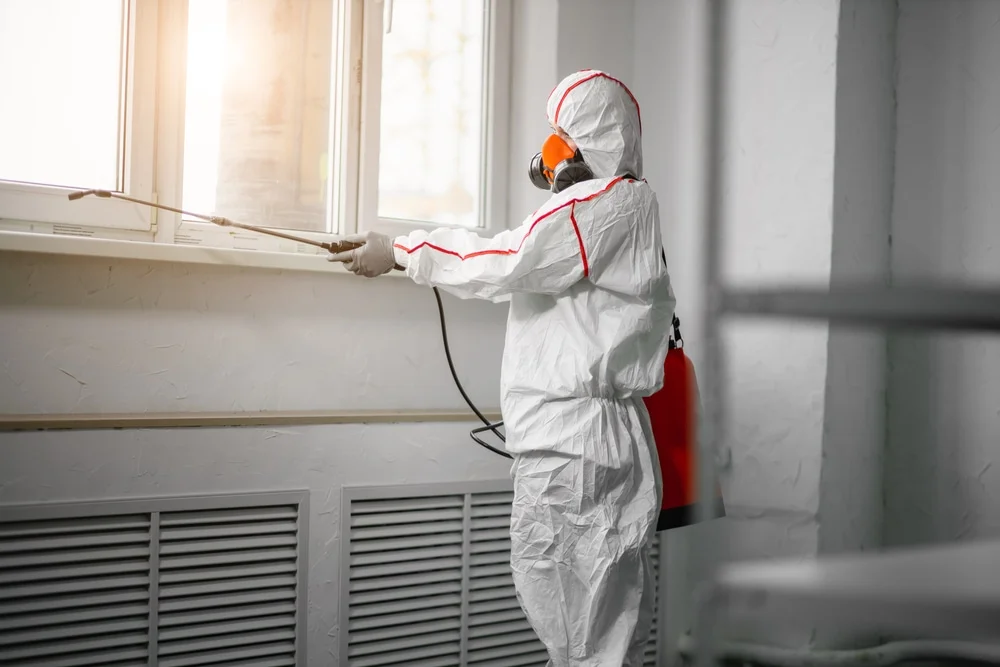 Professional mold remediation services in High Springs, FL